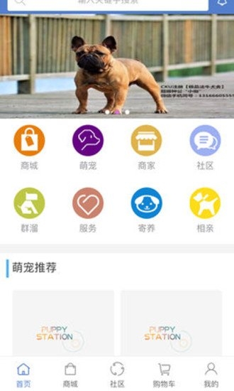 宠易站最新版