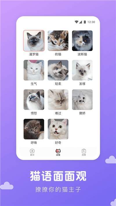 猫语翻译君ai版