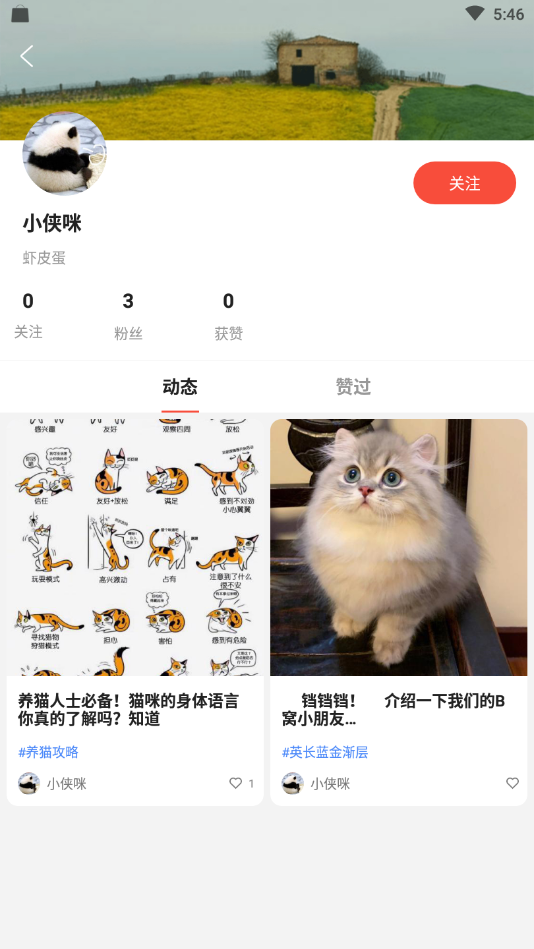 猫猫社官网版