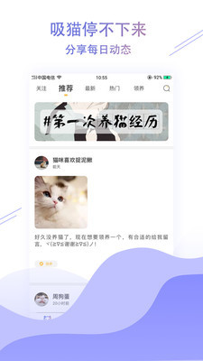 萌翻猫咪社区