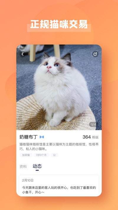 宠酱官方版