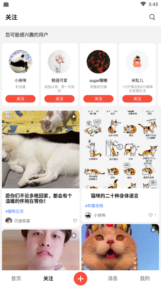 猫猫社官网版