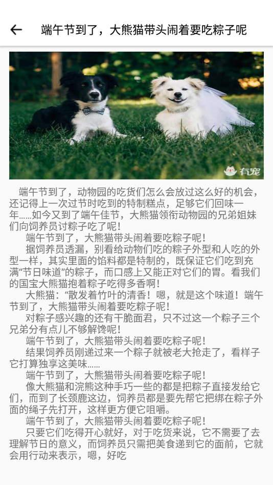它之家专业版