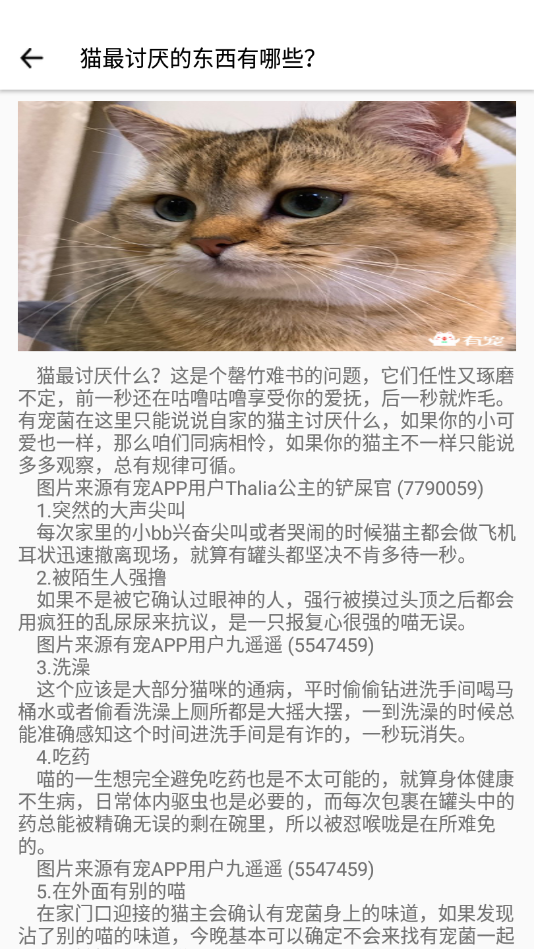 它之家专业版