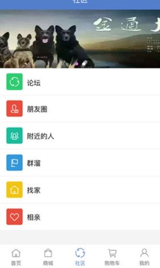 宠易站最新版