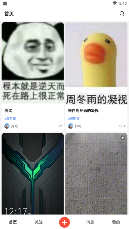 猫猫社官网版