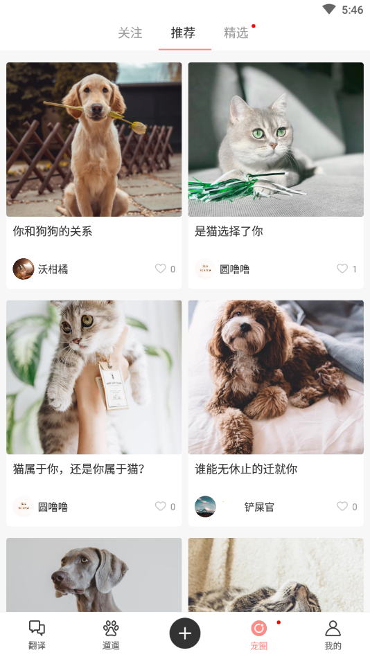 宠物君专业版