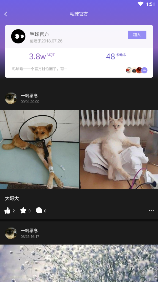 毛球图文最新版下载