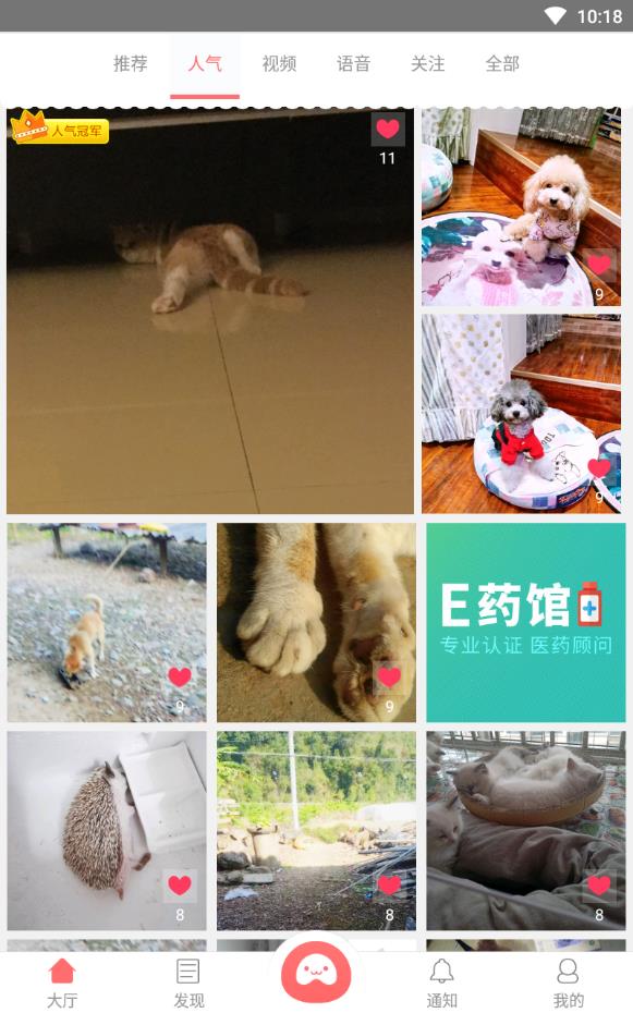 宠物推荐手机版下载