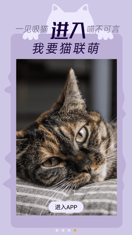 我要猫安卓版下载