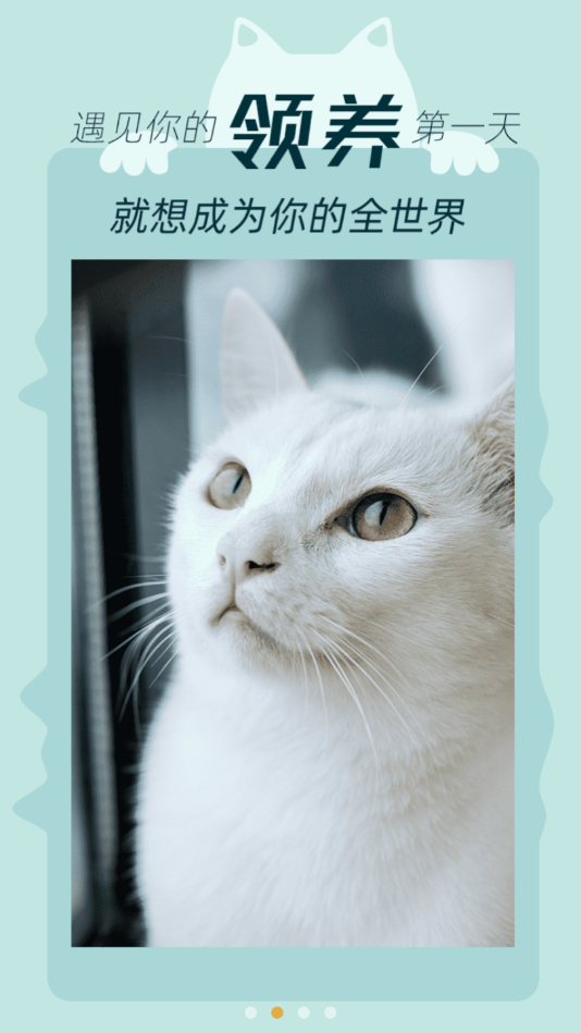 我要猫安卓版下载