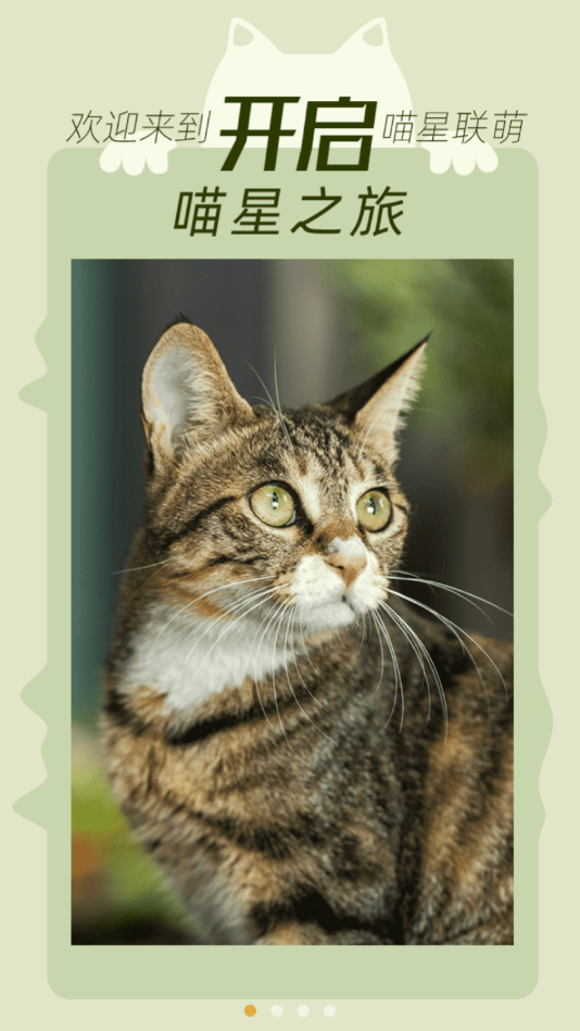 我要猫安卓版下载