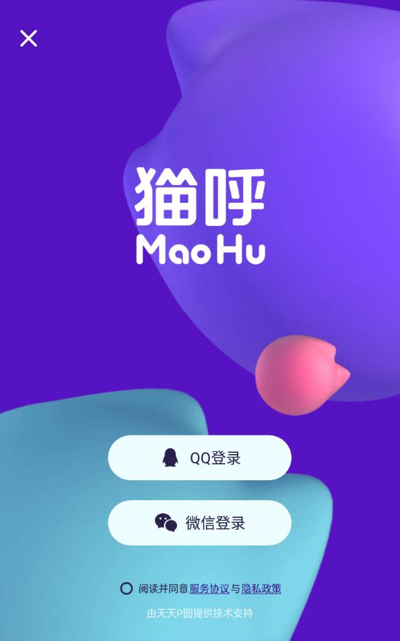 猫呼官方版下载