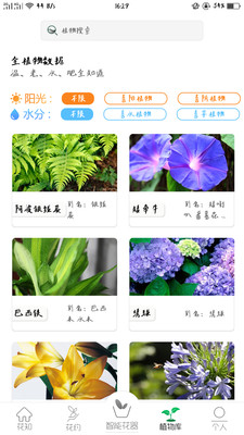 花一派安卓版下载