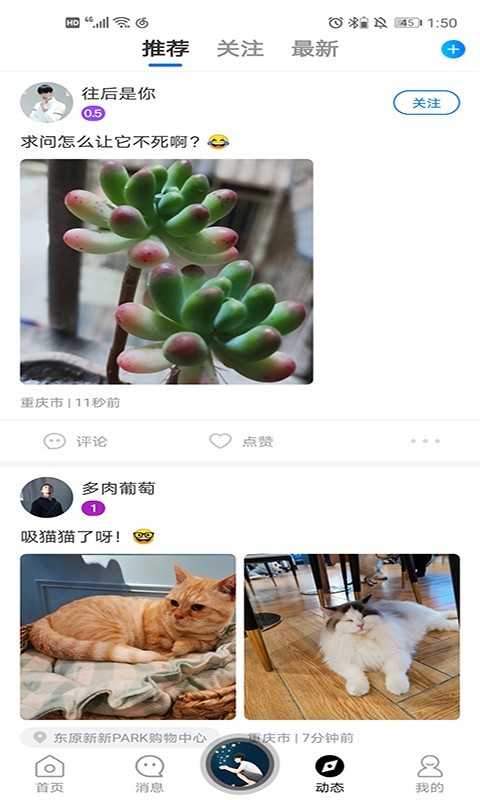 基多多官方版