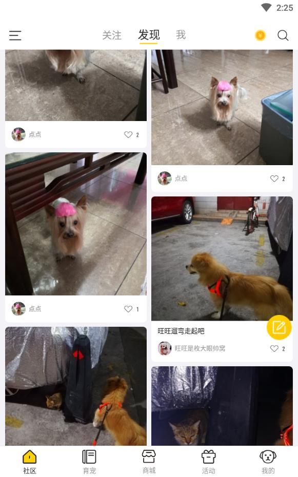 小宠伴你安卓版下载
