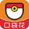 口袋花app下载2022v3.0
