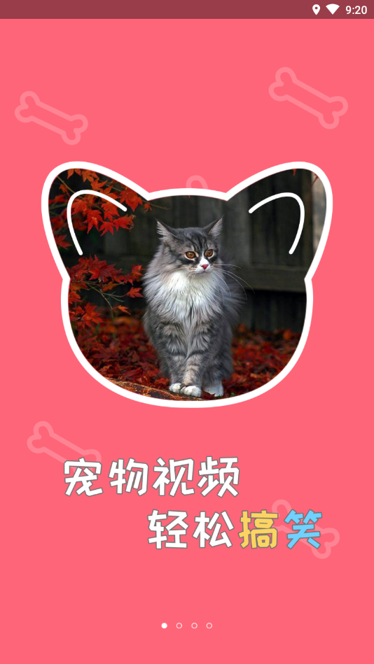 撸宠安卓版下载