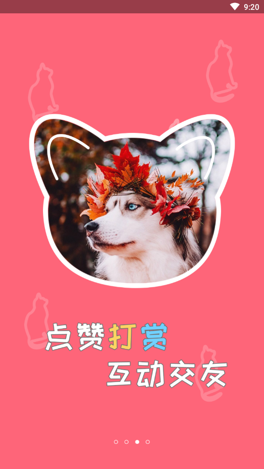 撸宠安卓版下载