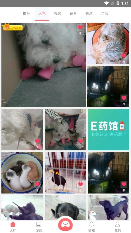 迪宠宠物平台官方版下载