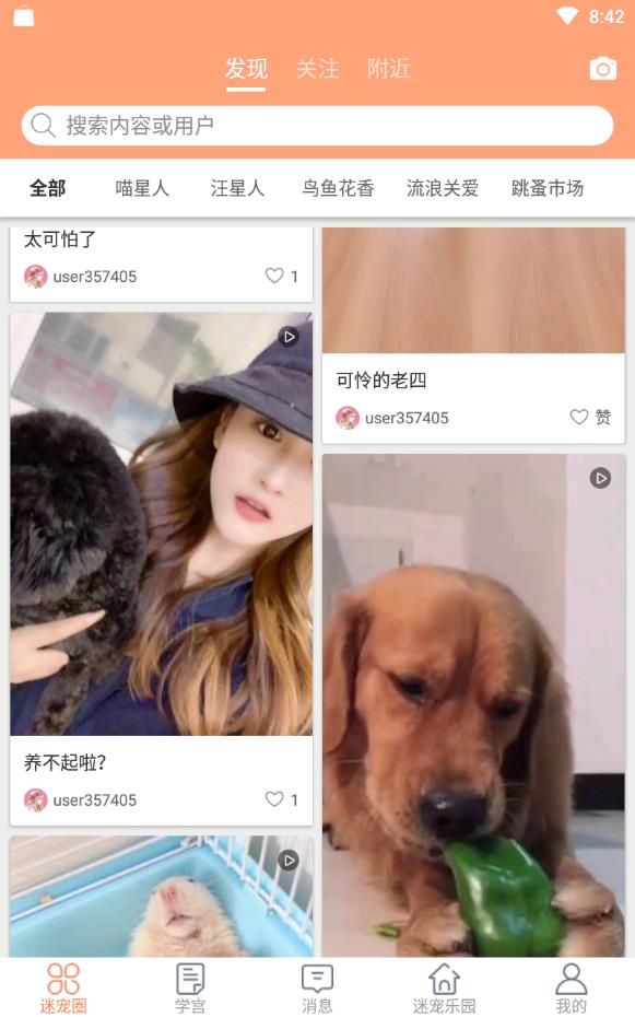 迷宠圈最新版下载