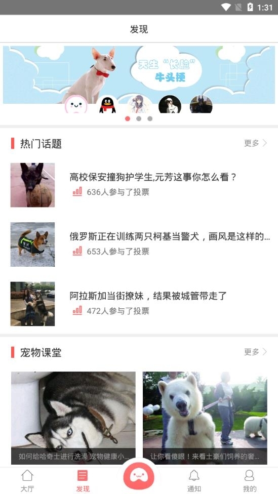 迪宠宠物平台官方版下载