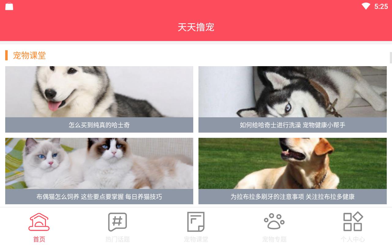 天天撸宠最新版下载