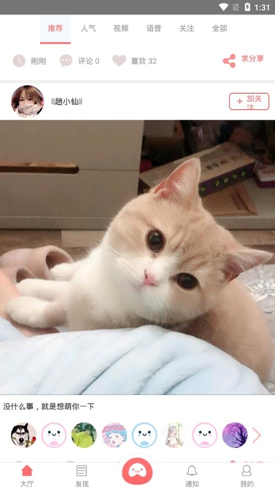 迪宠宠物平台官方版下载