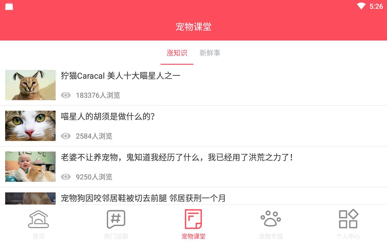 天天撸宠最新版下载