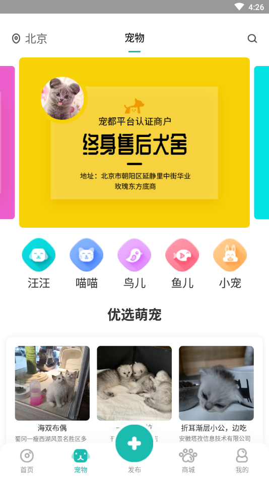 宠都安卓最新版下载