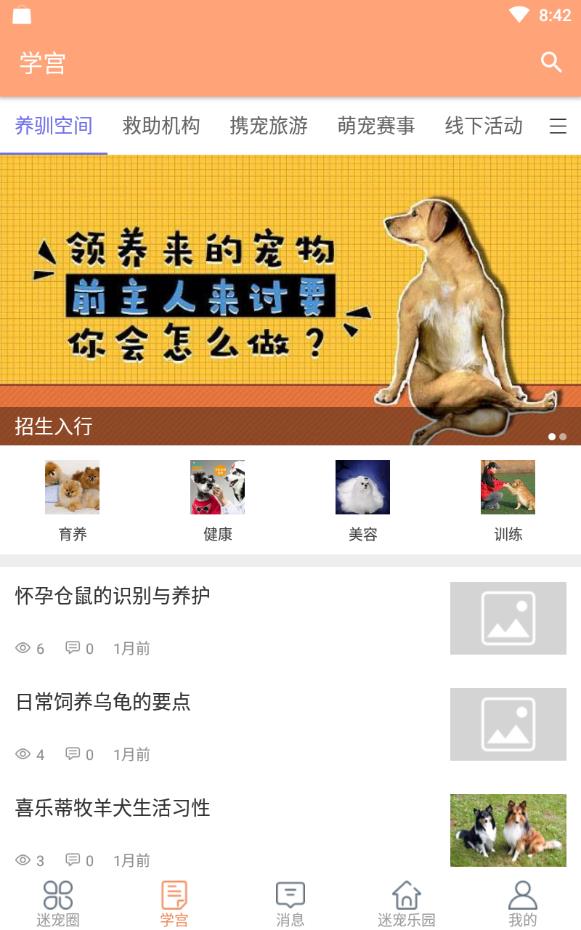 迷宠圈最新版下载