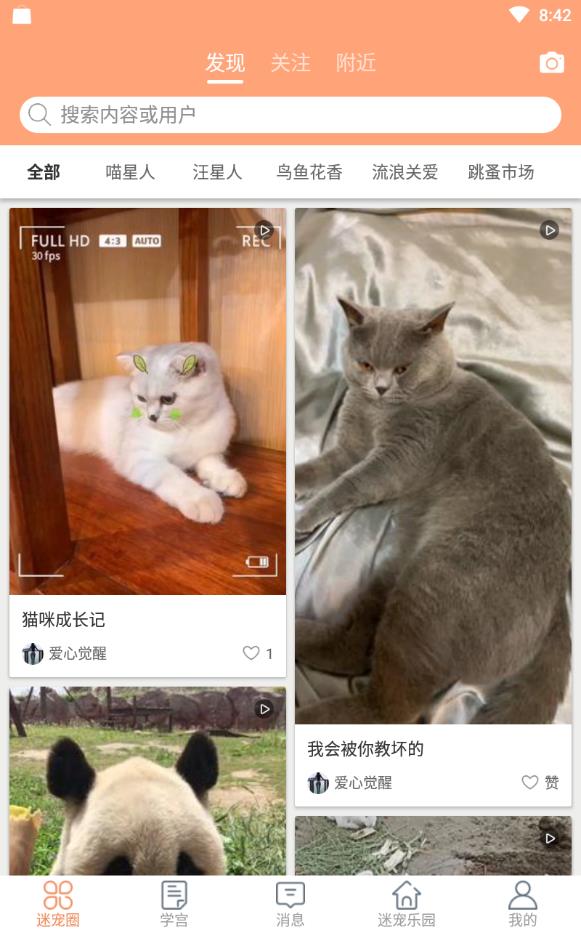 迷宠圈最新版下载