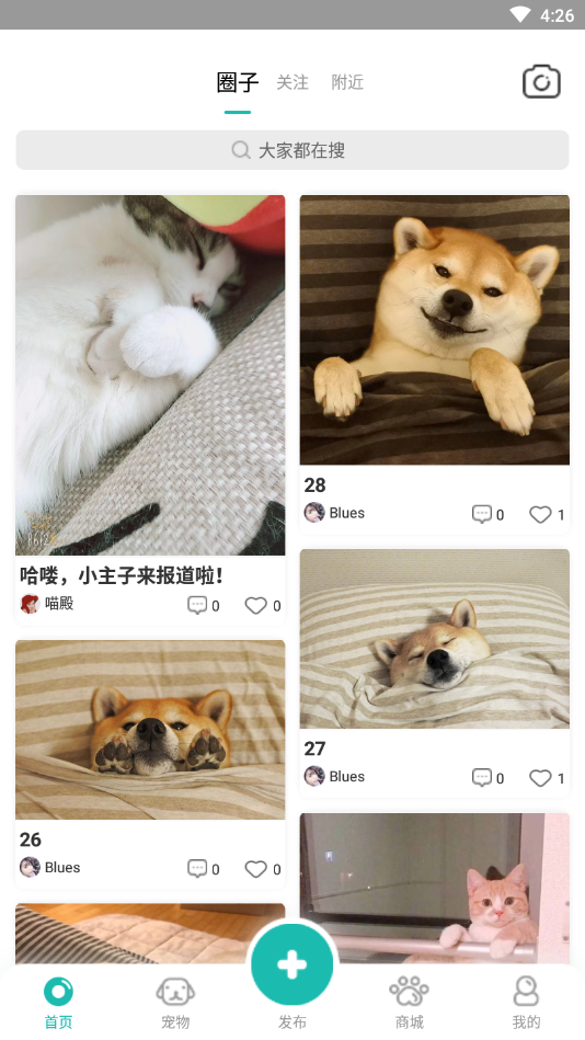 宠都安卓最新版下载