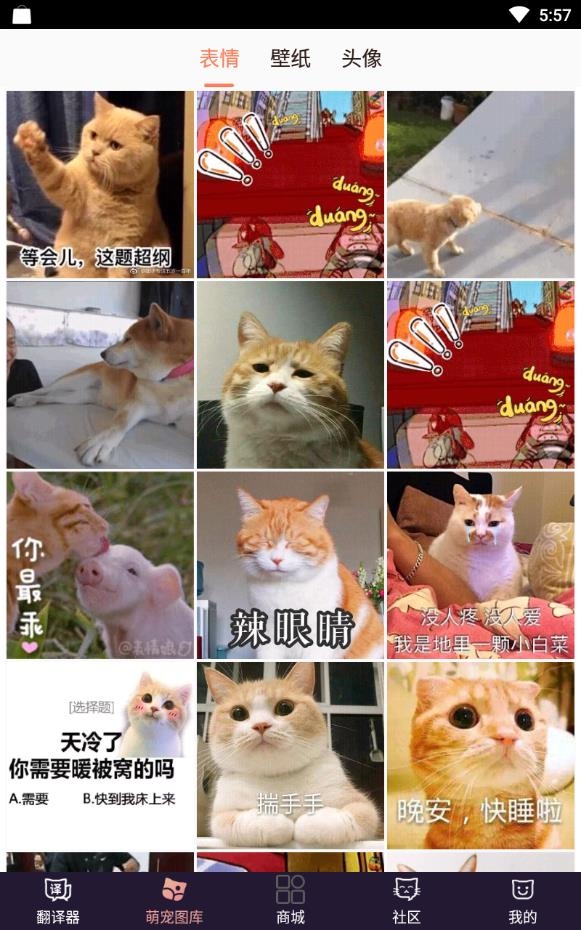 猫语互译软件免费版下载