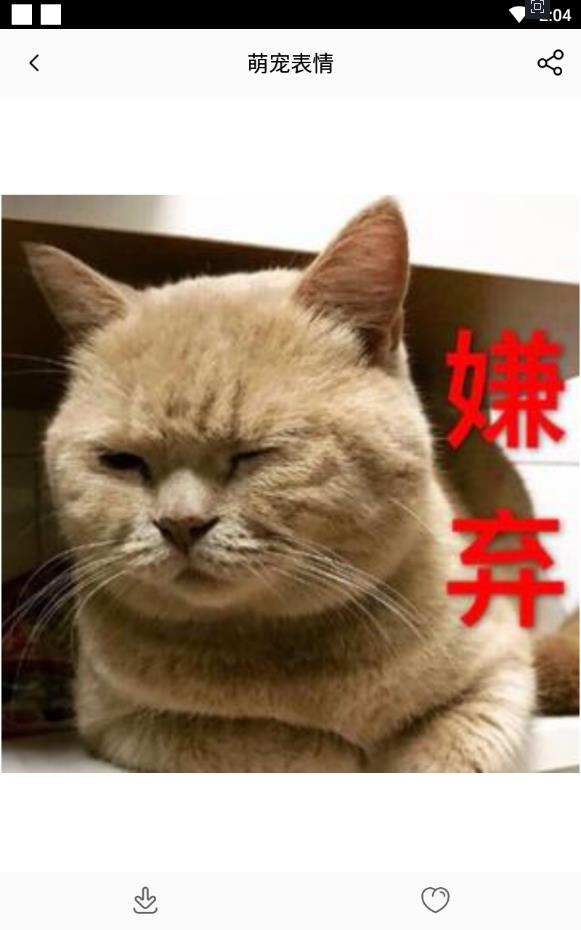 猫语翻译器中文免费版下载