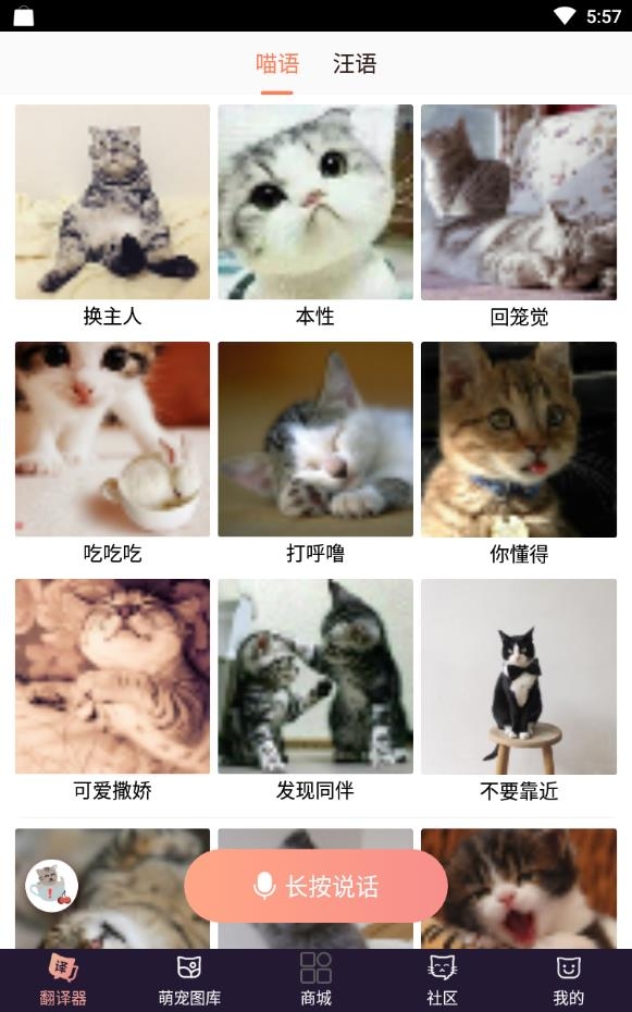 猫语互译软件免费版下载