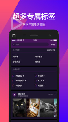 宠音最新版下载