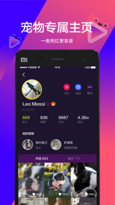 宠音最新版下载