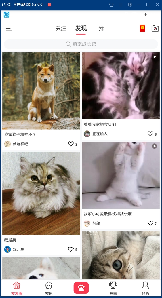 小宠伴你安卓版下载