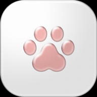 猫爪论坛官网版