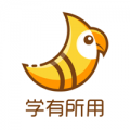斑鸠职业最新版下载
