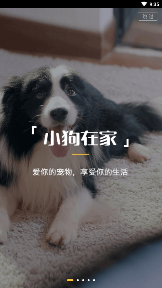 小狗在家宠物狗狗猫咪寄养最新版下载