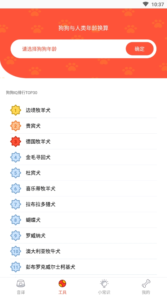 人狗翻译器最新版下载