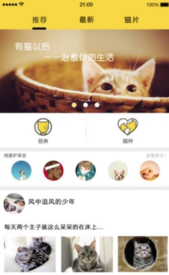 有猫以后最新版