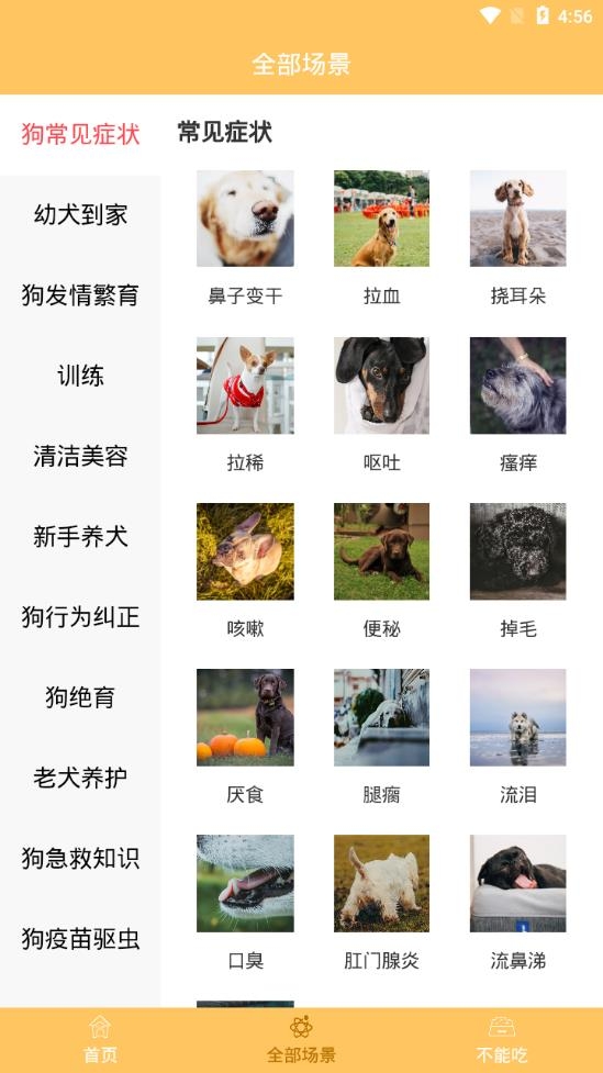 哎宠最新版下载