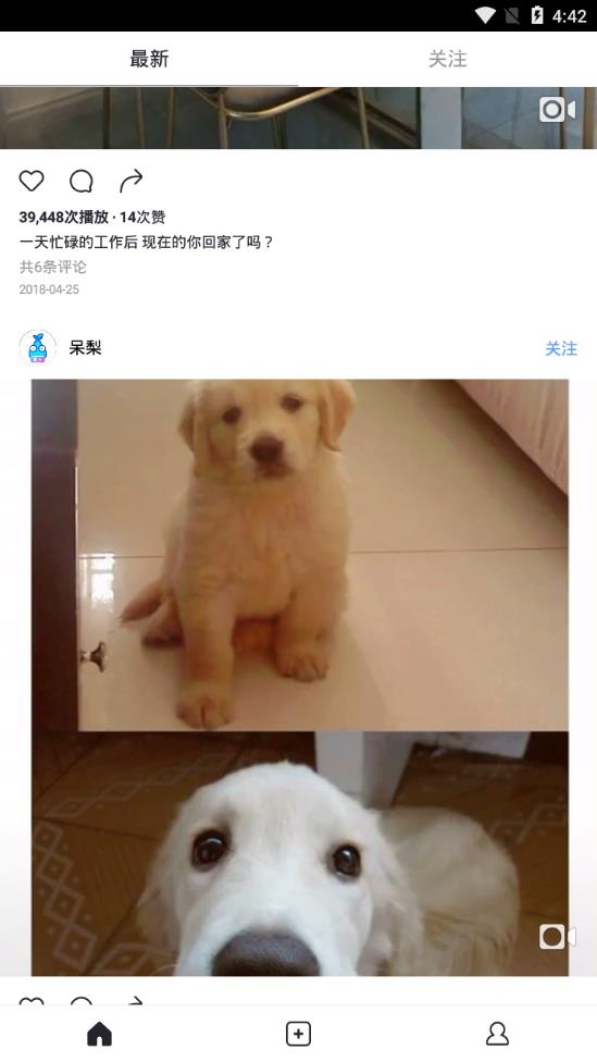呆梨官方版