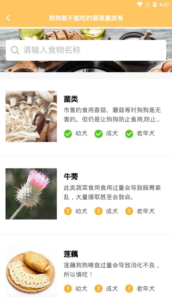 哎宠最新版下载