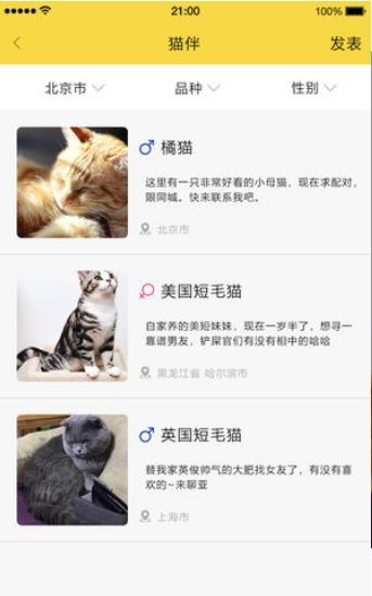 有猫以后最新版