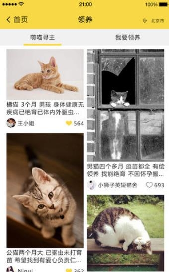 有猫以后最新版