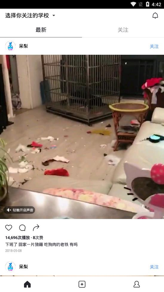 呆梨官方版